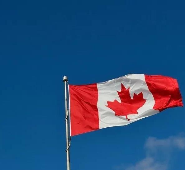 移民加拿大有什么好处和坏处(加拿大自雇移民申请条件及流程)